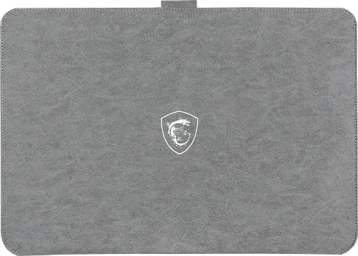 MSI Sleeve Bag_GP